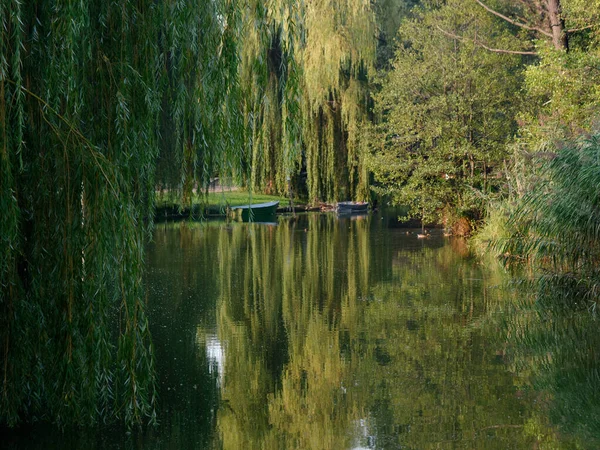 Park rekreacyjny nad jeziorem. Wolsztyn, Polska — Zdjęcie stockowe