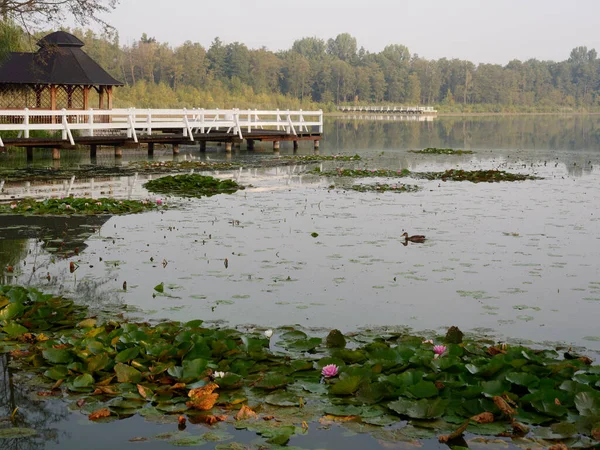 Parc récréatif près du lac. Wolsztyn, Pologne — Photo