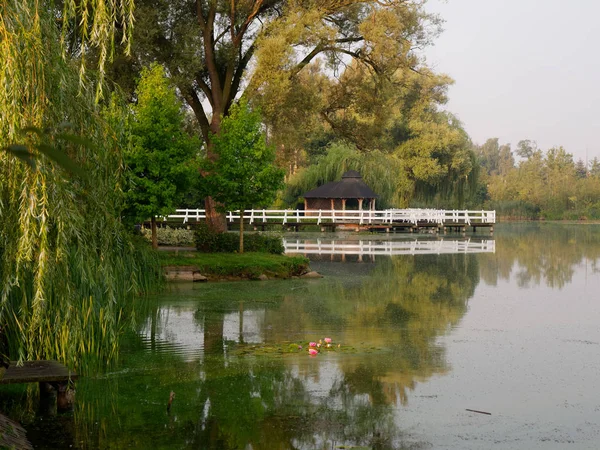 Parc Récréatif Près Lac Wolsztyn Pologne — Photo