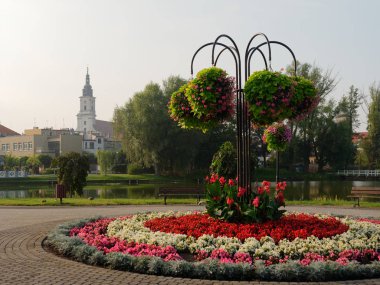 Göl kenarındaki park alanı. Wolsztyn, Polonya