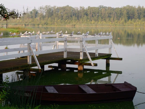 Park recreation area by the lake. Wolsztyn, Poland — Stock Photo, Image