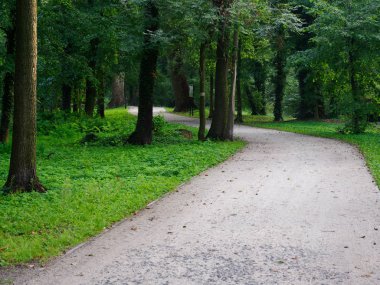 Şehir yeşil parkı manzaralı patika. Wolsztyn, Polonya