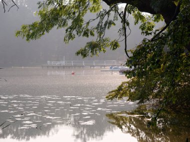 Göl kenarındaki park alanı. Wolsztyn, Polonya