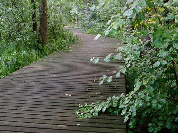 Caminho panorâmico do parque verde da cidade. Wolsztyn, Polónia — Fotografia de Stock