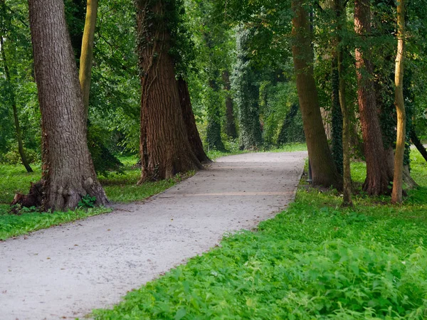 City green park scenic footpath. Wolsztyn, Poland