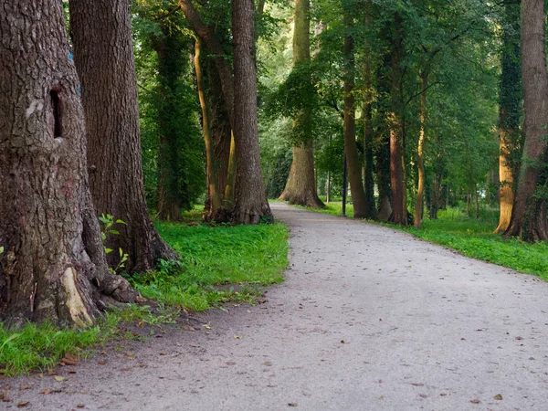 Şehir yeşil parkı manzaralı patika. Wolsztyn, Polonya — Stok fotoğraf