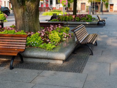 Wolsztyn, Polonya - 30 Ağustos 2019: Merkezi Meydan.