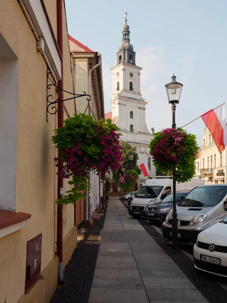 Wolsztyn, Polsko - 30. srpna 2019: Krásná katedrála města — Stock fotografie