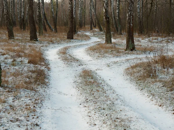 Первый снег. зимний лес снежная белая дорога — стоковое фото