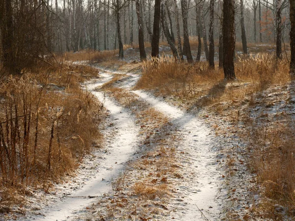 Eerste sneeuw. winterbos besneeuwde witte weg — Stockfoto