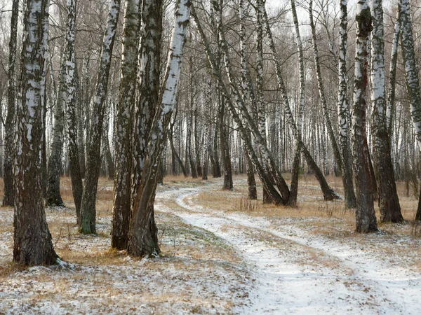 Первый снег. зимний лес снежная белая дорога — стоковое фото