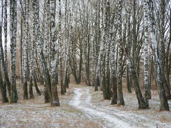 First snow. winter forest snowy white road — Stock Photo, Image