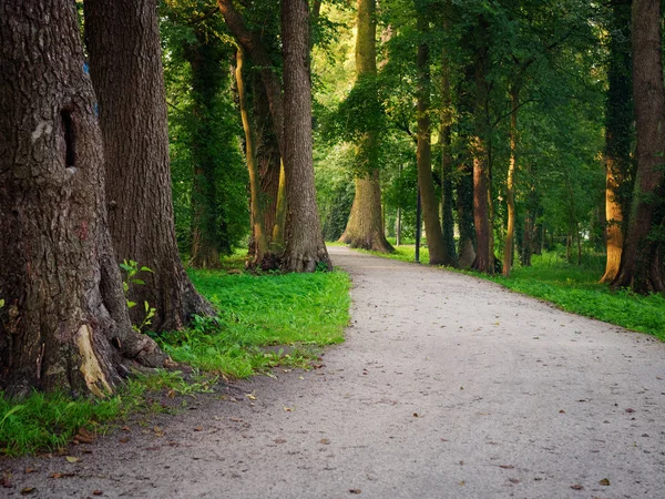 Stadens gröna park natursköna gångväg. Wolsztyn, Polen — Stockfoto