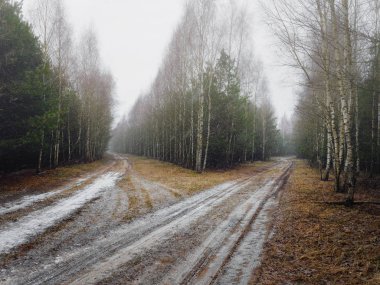 Huş toprağa ilk kar kaplı.