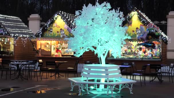 Gomel ベラルーシ 2019年12月19日 新年のクリスマスイルミネーション お祝いの気分で — ストック動画