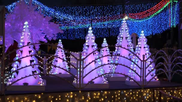 Gomel Weißrussland Dezember 2019 Weihnachtsbeleuchtung Menschen Feierlaune — Stockvideo