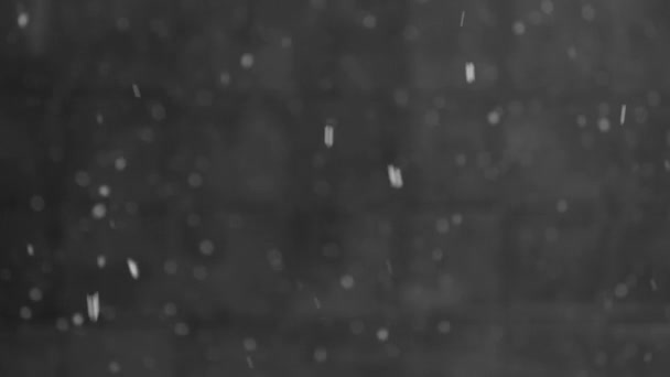 Långsamt Fallande Snö Mörk Bakgrund — Stockvideo