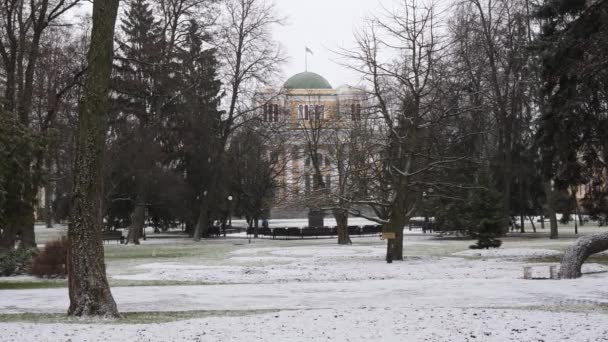 白俄罗斯戈梅利 2020年1月5日 雪中的鲁米扬采夫宫 — 图库视频影像