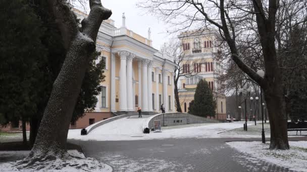 Gomel Biélorussie Janvier 2020 Palais Rumyantsev Sous Neige — Video