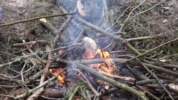 Mère Fils Préparent Nourriture Sur Feu Camp Dans Nature — Video