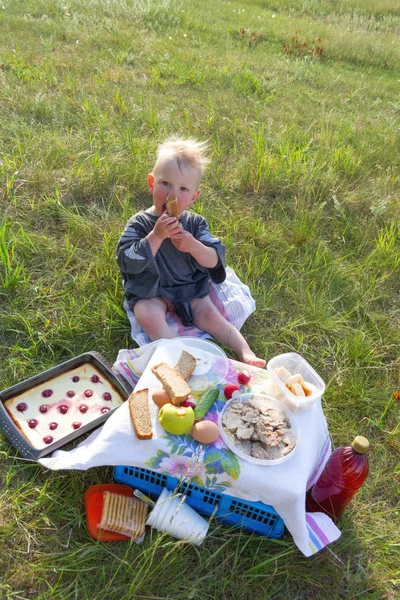 Little baby boy having picnic toys Happy child sitting on blanket with basket eating fruit outdoors. Leisure activity — Stock Photo, Image