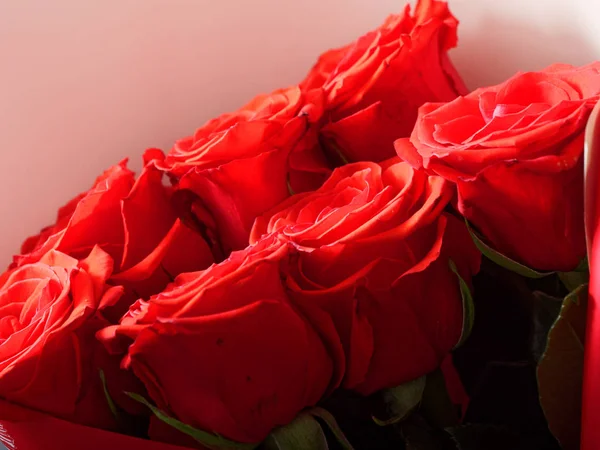 Bouquet von frischen Rosen, Blume hellen Hintergrund. — Stockfoto