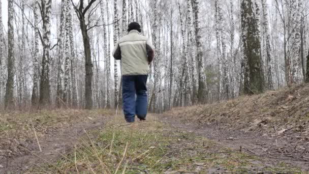 Fondo Hombre Corriendo Largo Sendero Forestal Está Entrenando Bosque Aire — Vídeos de Stock