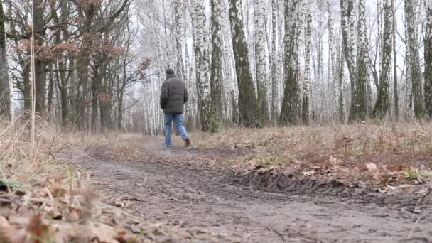 Giovane Uomo Che Cammina Tra Alberi Alti Nella Nebbiosa Foresta — Video Stock