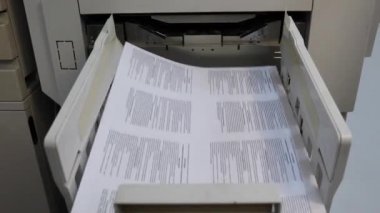 risograf. Birden fazla kopyanın hızlı basımı. yazıcı ekipmanı