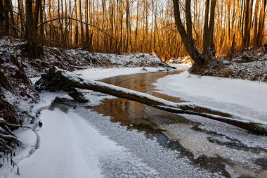 2020 ilkbaharının başlarında buzdaki orman nehri