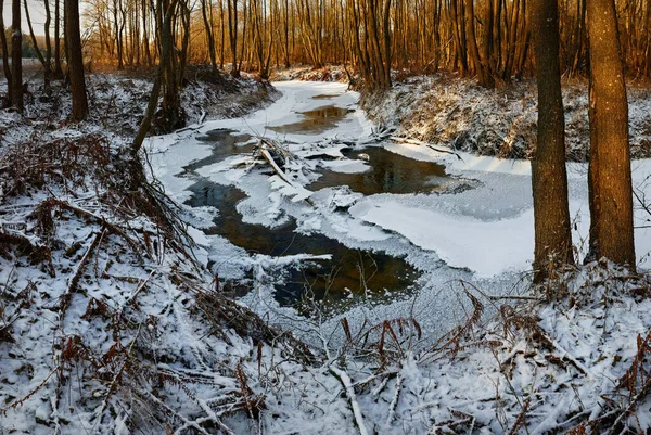 Waldfluss Zeitigen Frühjahr 2020 Eis — Stockfoto