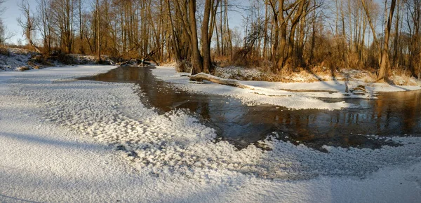 Waldfluss Zeitigen Frühjahr 2020 Eis — Stockfoto