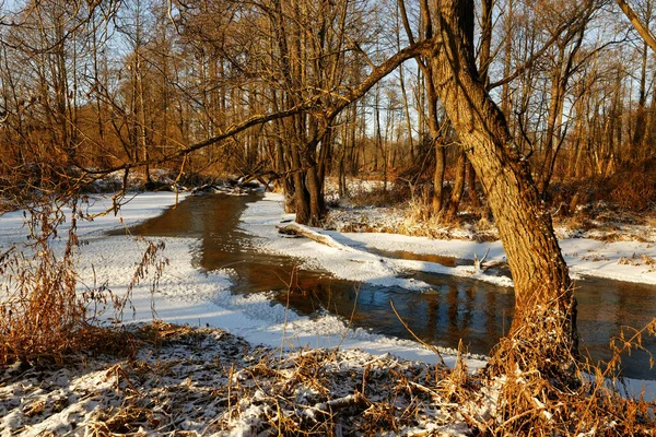 Forest River Ice Early Spring 2020 — Stock Photo, Image