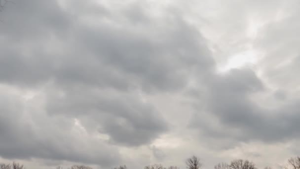 早春の灰色の暗い空に雲があり — ストック動画