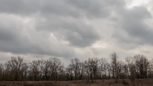 早春灰蒙蒙的天空上的云彩 — 图库视频影像