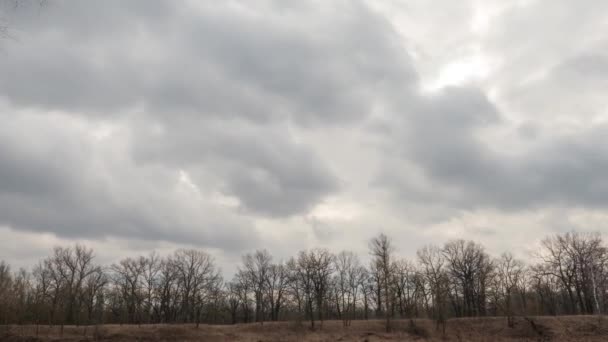Gri Kasvetli Bir Gökyüzünde Baharın Başlarında Bulutlar — Stok video