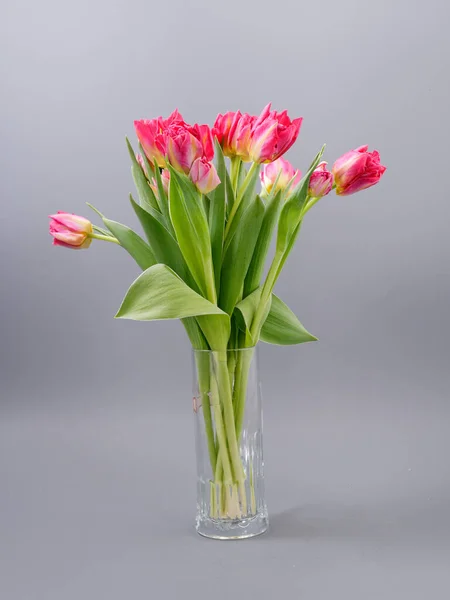 Ανοιξιάτικα Τρυφερά Λουλούδια Τουλίπες Γκρι Φόντο 2020 — Φωτογραφία Αρχείου