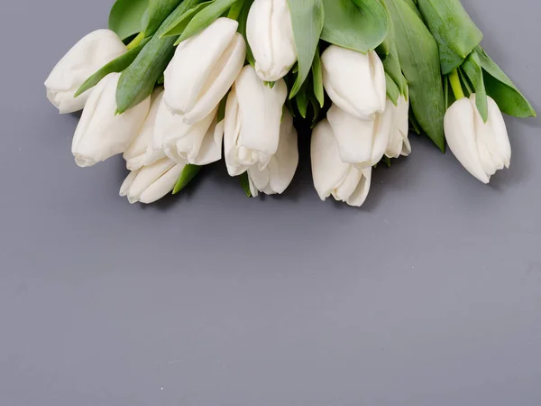Frühling Zarte Blumen Tulpen Auf Grauem Hintergrund 2020 — Stockfoto