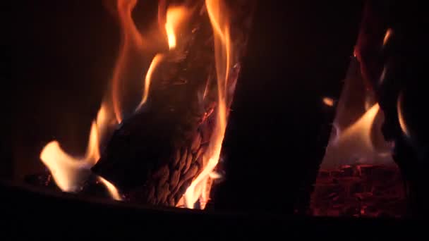 Leña arde en la chimenea con lenguas rojas de llama — Vídeo de stock