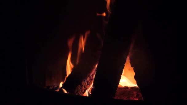 Дрова горят в камине красными языками пламени — стоковое видео