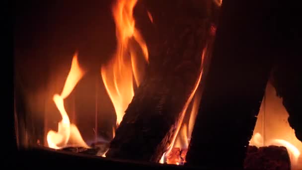 Firewood burns in the fireplace with red tongues of flame — Stock Video