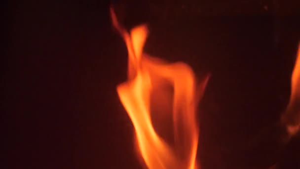 bois de chauffage brûle dans la cheminée avec des langues rouges de flamme 