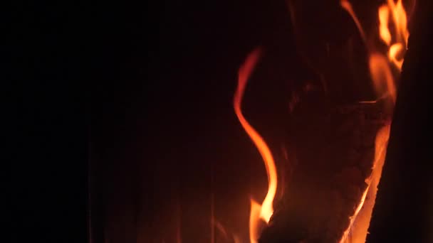 Brennholz Brennt Kamin Mit Roten Flammenzungen — Stockvideo