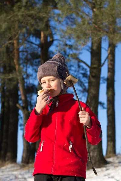 Niño Comiendo Carne Picnic Naturaleza Bosque 2020 — Foto de Stock