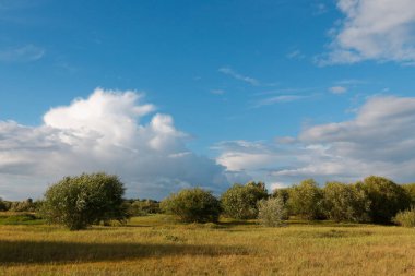 2020 ilkbaharının başlarında tarlanın üzerinde gök gürültülü bulutlar