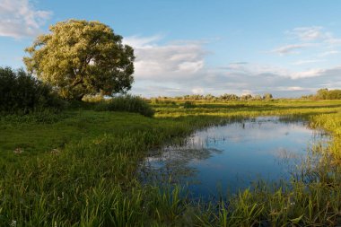 2020 ilkbaharının başlarında tarlanın üzerinde gök gürültülü bulutlar
