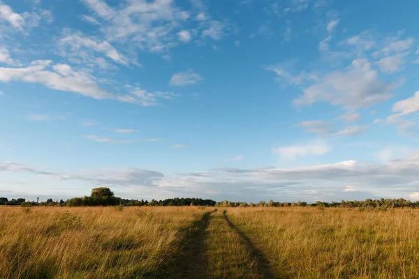 Thunderclouds Field Early Spring 2020 — Stock Photo, Image