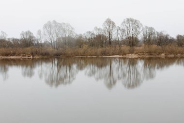 Sabah nehrinin kıyısında şafak sökerken. Belarus Gomel 2020