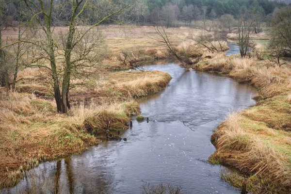 Malá Hrázděná Meandrující Lesní Řeka Podzim 2020 — Stock fotografie