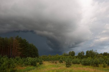2020 ormanı üzerinde gökyüzünde kasırga